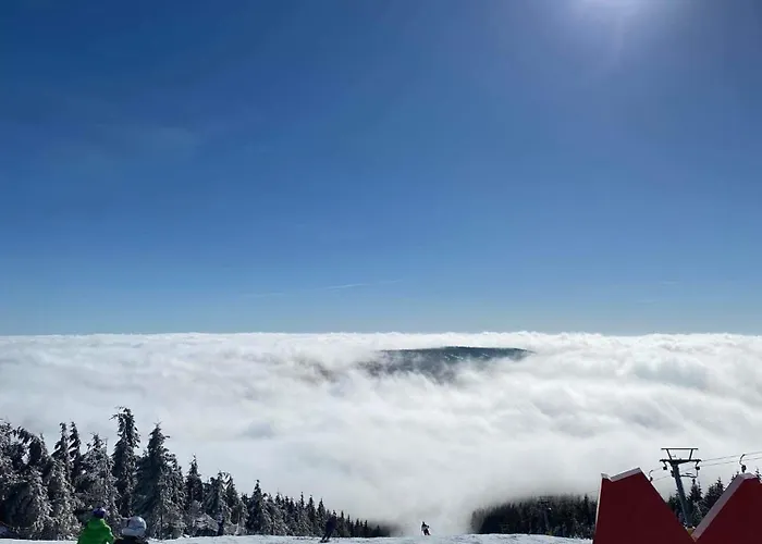 Apartment Friendly 5 By Alkatravel, Ski&bike *